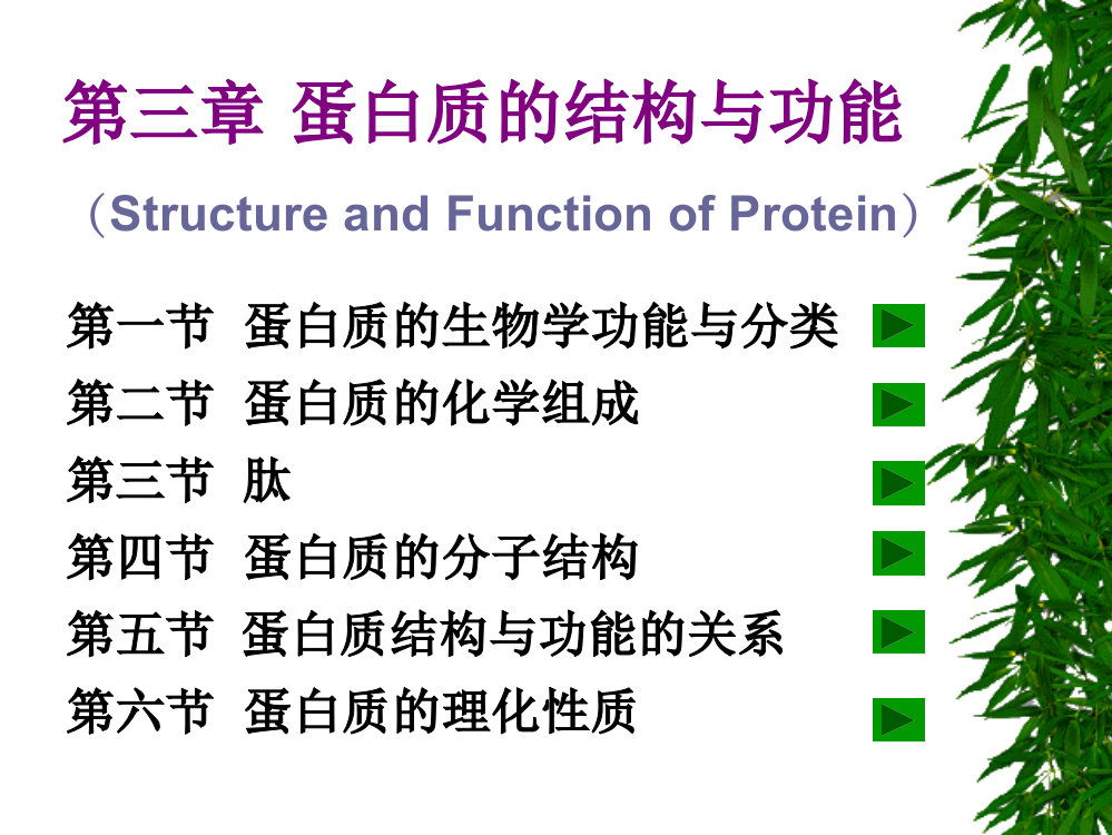 第03章蛋白质的结构与功能ppt课件