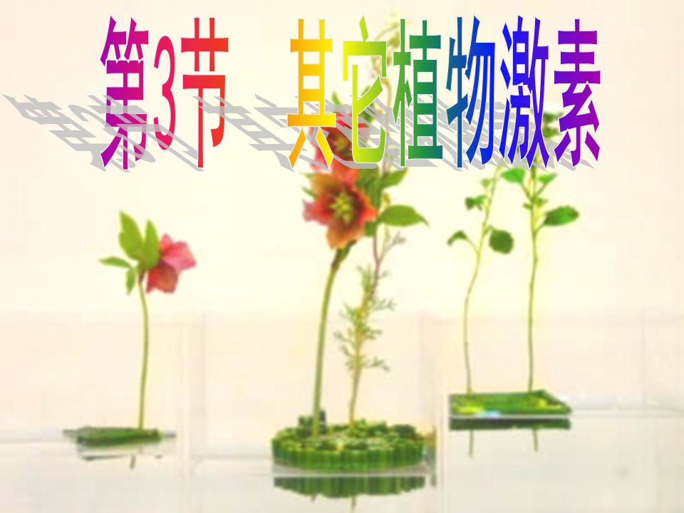 其他的植物激素