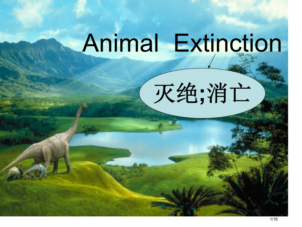 AnimalExtinction动物灭绝-公开课省公开课一等奖全国示范课微课金奖PPT课件