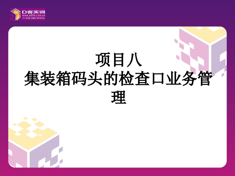 项目八集装箱码头的检查口业务管理