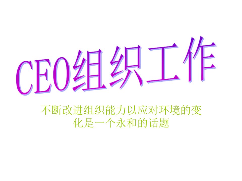 《CEO的组织工作》PPT课件