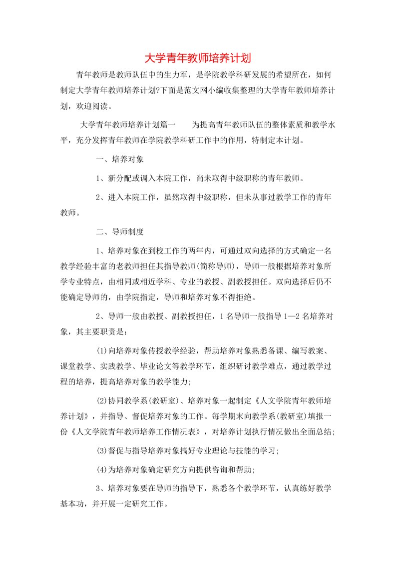 大学青年教师培养计划