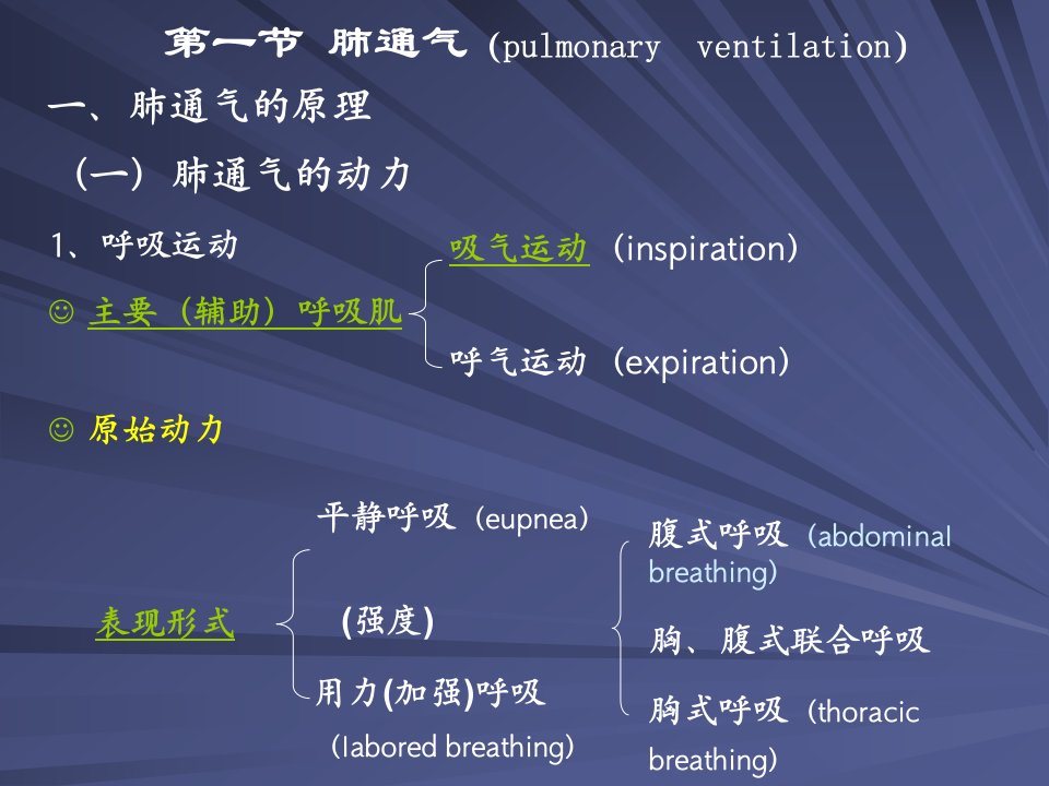 第五章呼吸和体温