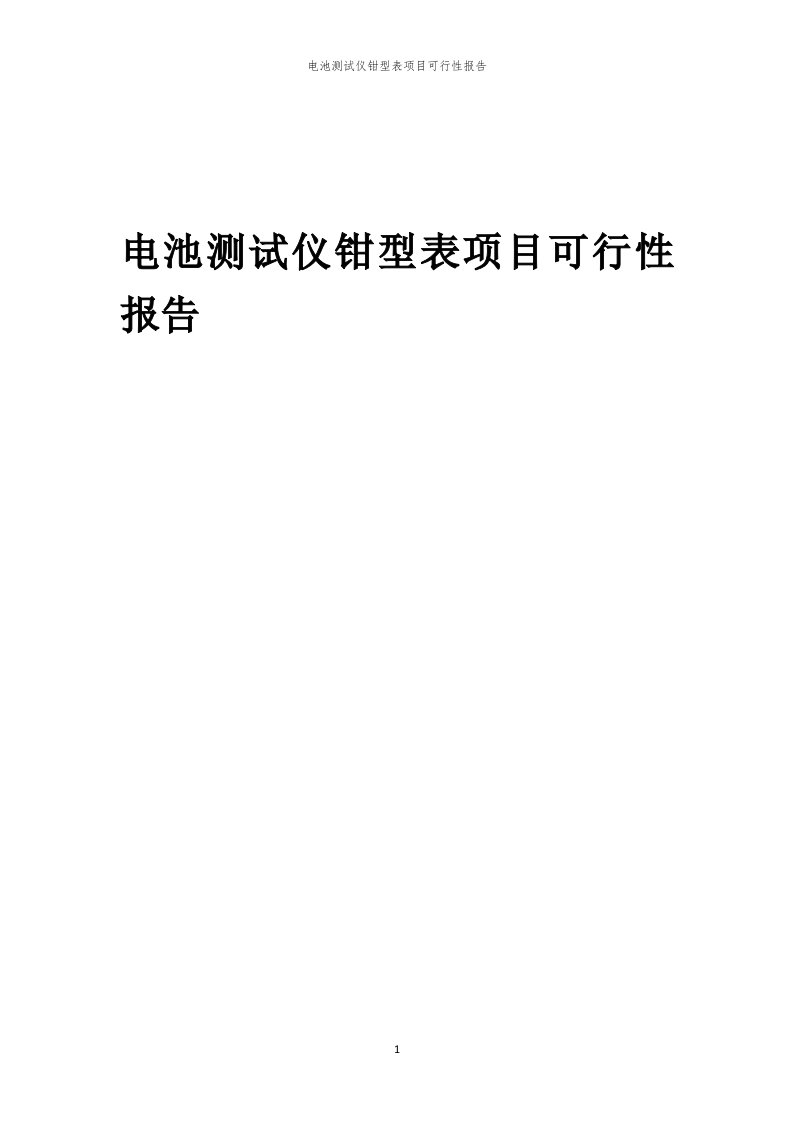 电池测试仪钳型表项目可行性报告