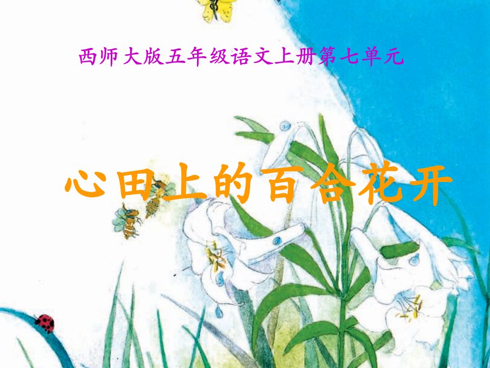 西师大版五年级上册《心田上的百合花》PPT课件之