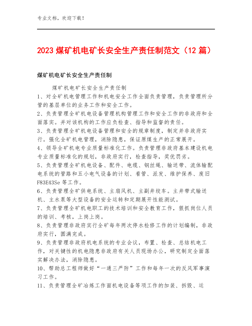 2023煤矿机电矿长安全生产责任制范文（12篇）