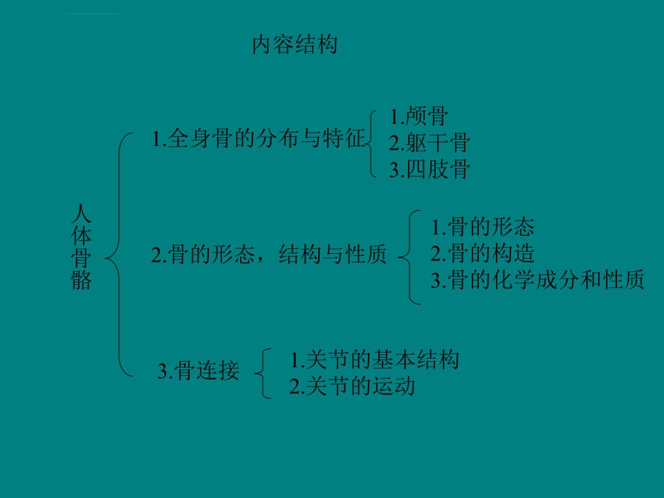 人体骨骼全身骨的分布与特征ppt课件