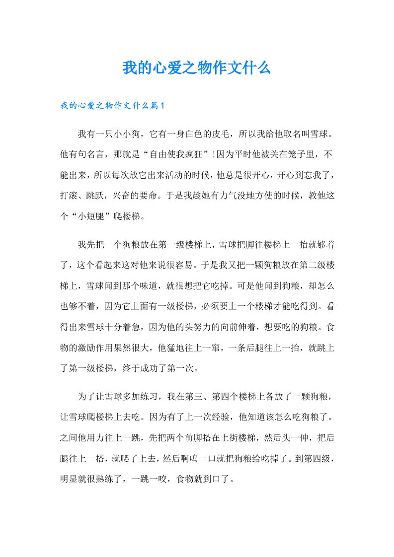 我的心爱之物作文什么