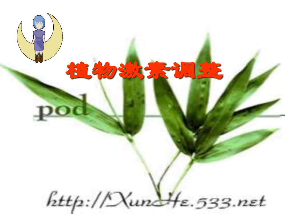 植物的激素调节高一生物省公开课一等奖全国示范课微课金奖PPT课件