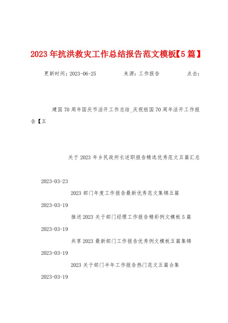 2023年抗洪救灾工作总结报告范文模板