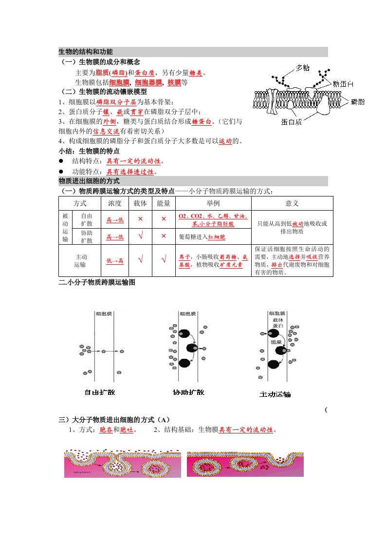 高中生物必修1第四章,五章复习提纲