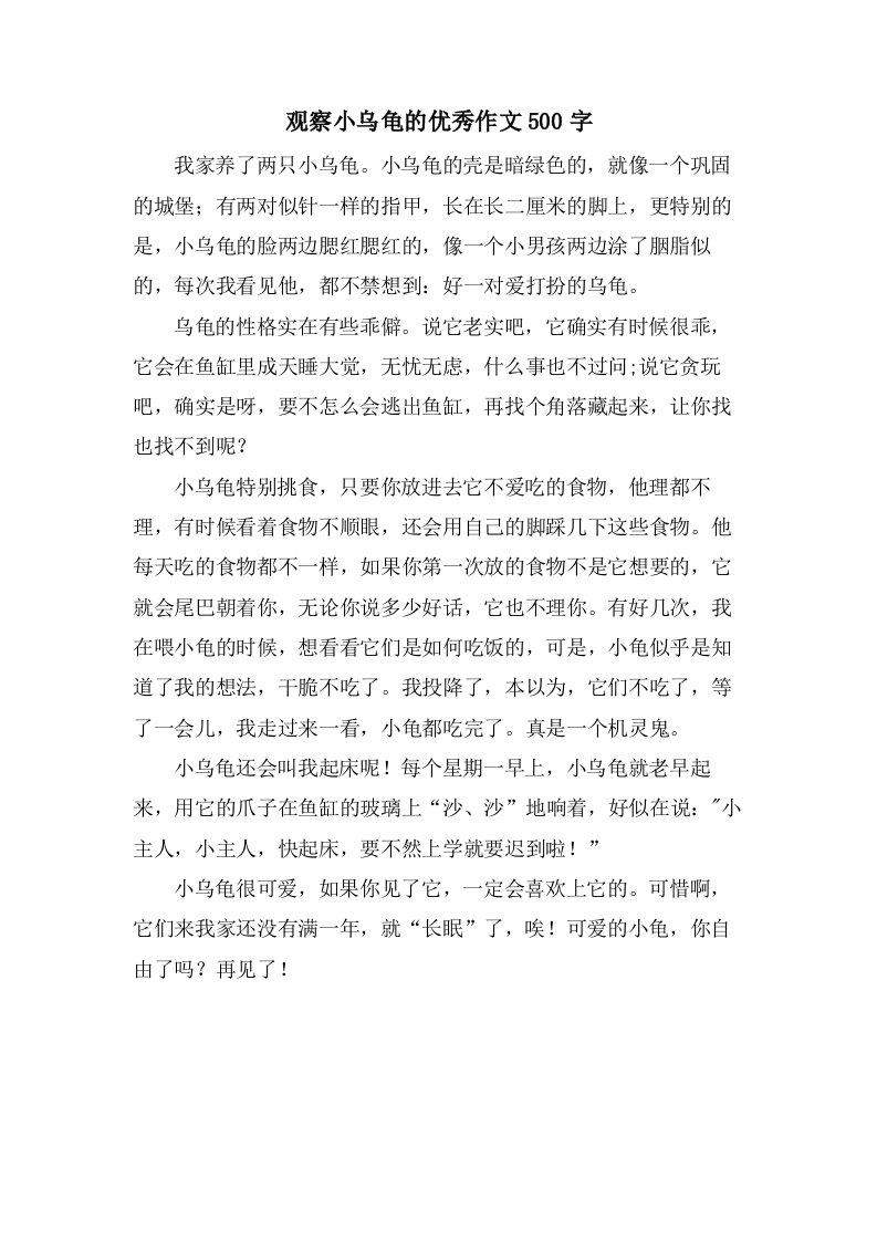 观察小乌龟的作文500字