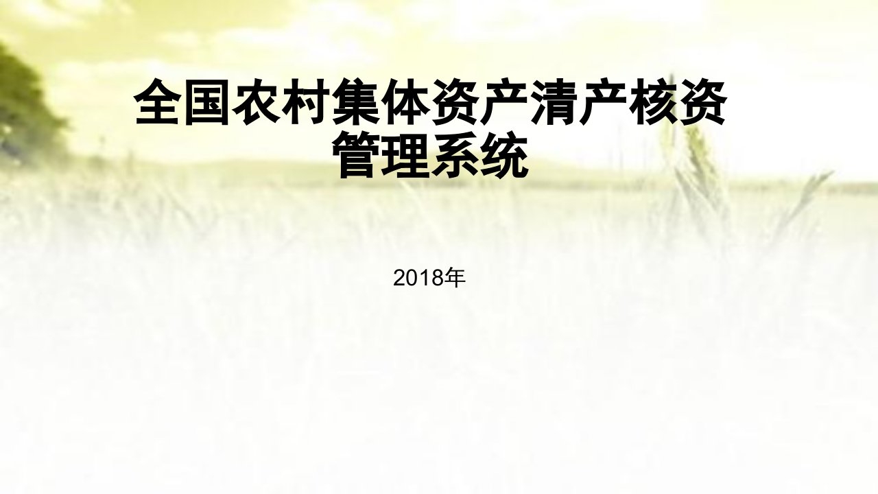 全国农村集体资产清产核资管理系统ppt