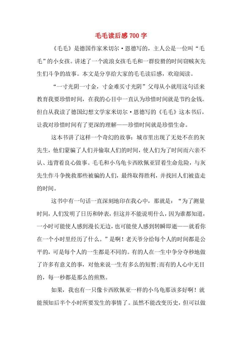 毛毛读后感700字