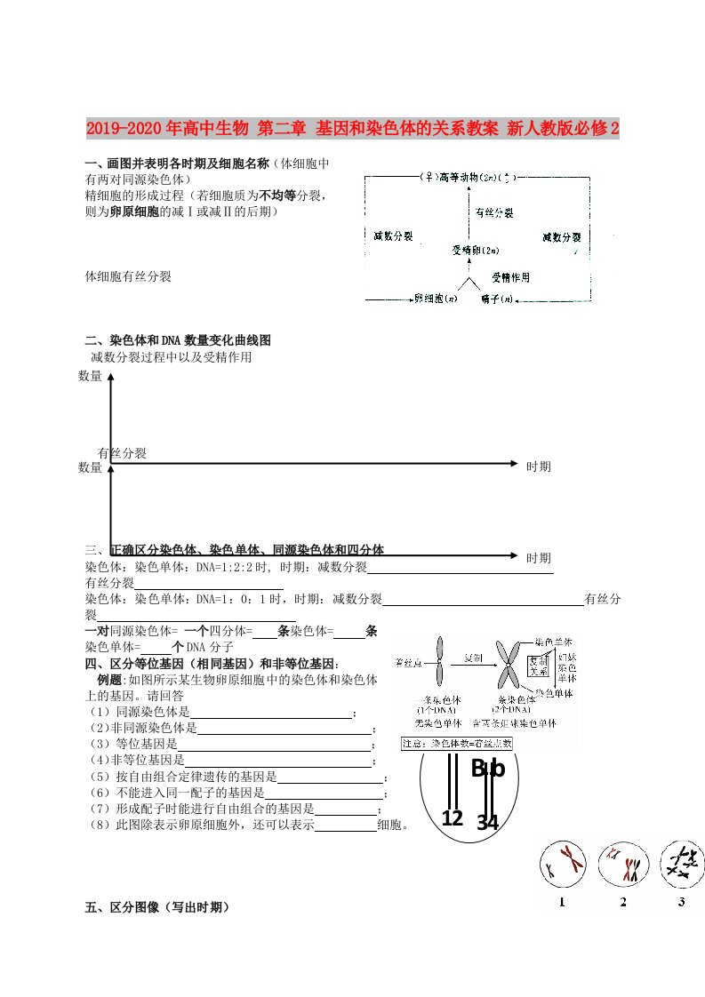 2019-2020年高中生物