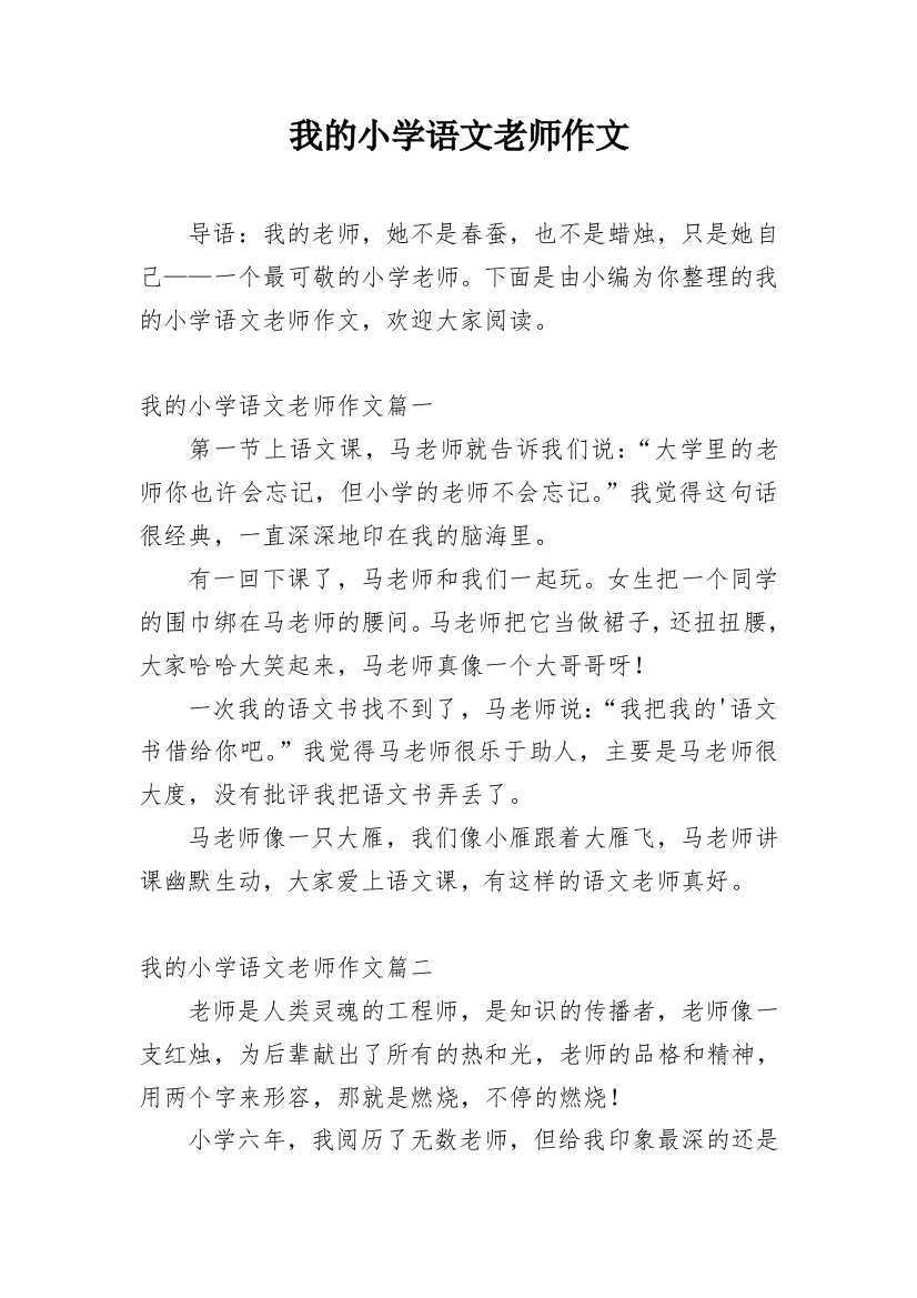 我的小学语文老师作文_5