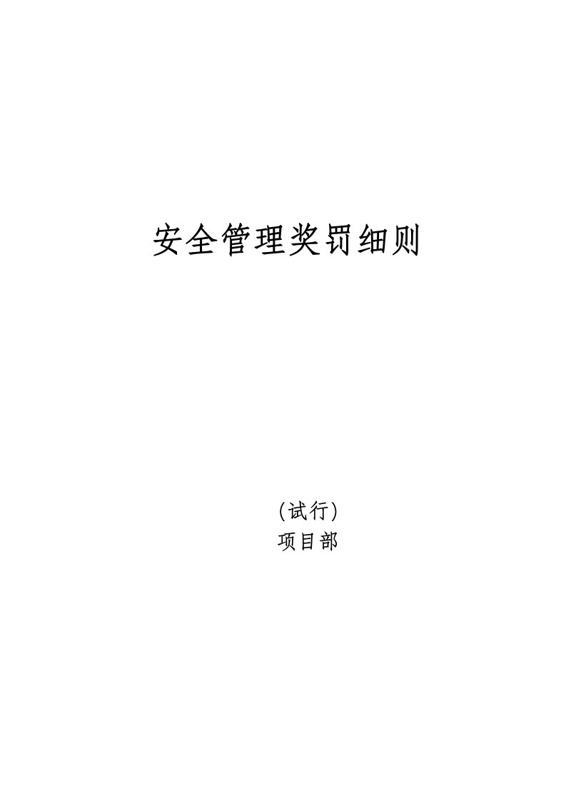 冶金行业-煤矿项目部安全管理处罚细则试行