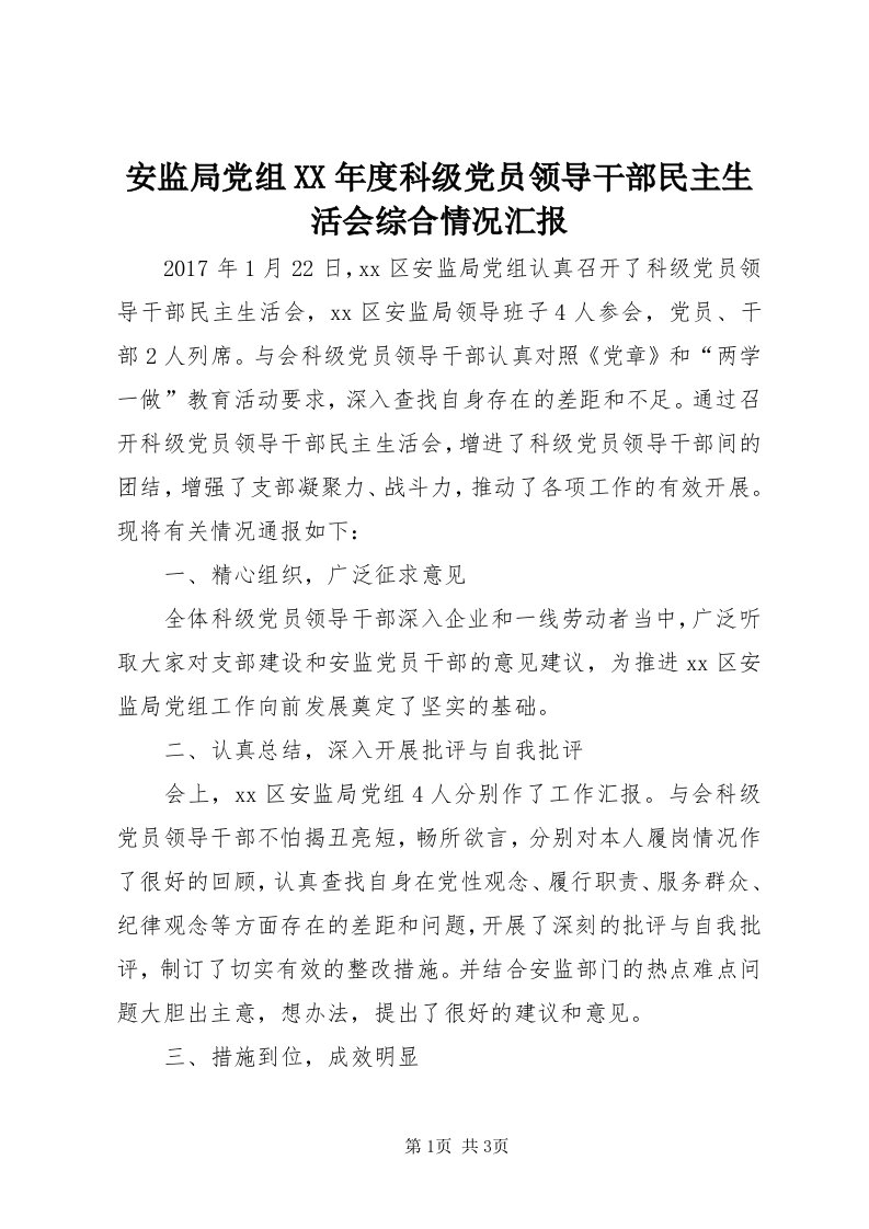 安监局党组某年度科级党员领导干部民主生活会综合情况汇报