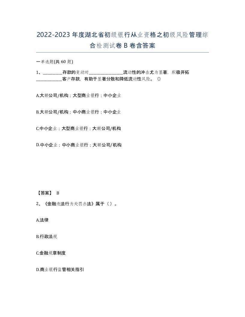 2022-2023年度湖北省初级银行从业资格之初级风险管理综合检测试卷B卷含答案