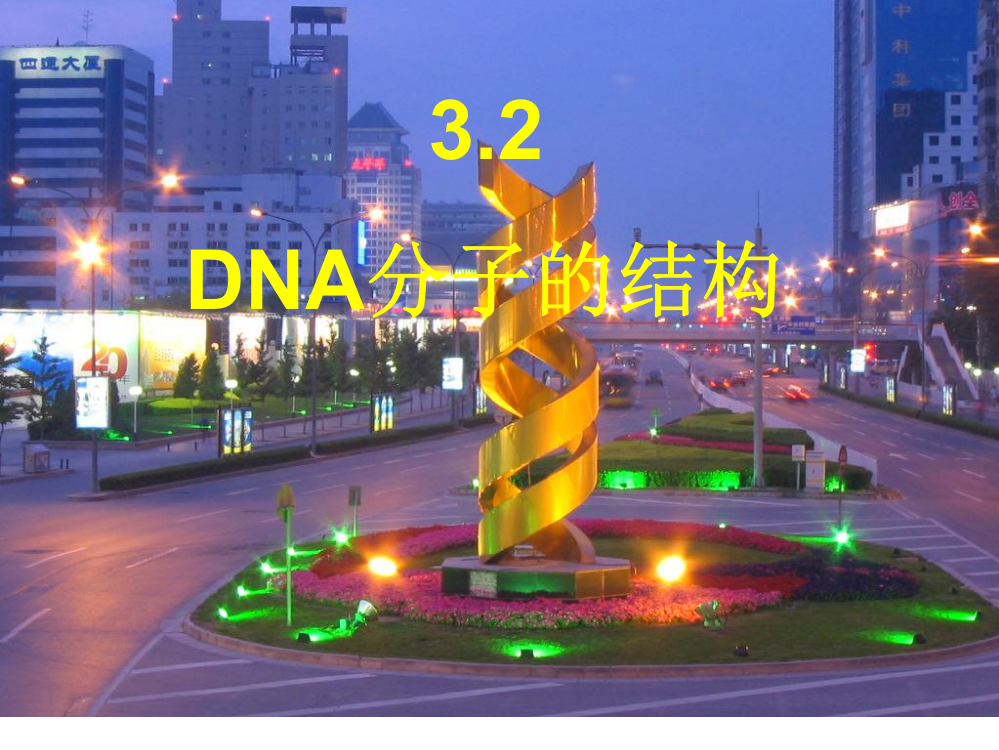 32--DNA分子的结构