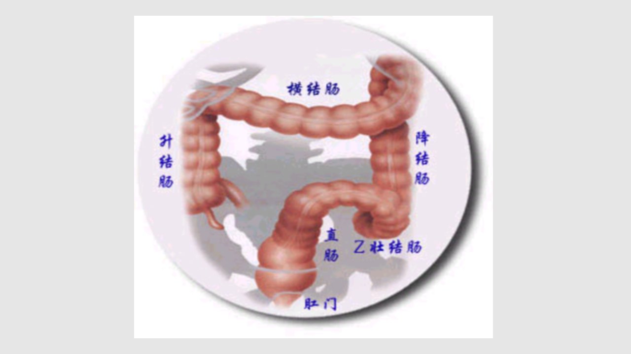 肛管直肠疾病