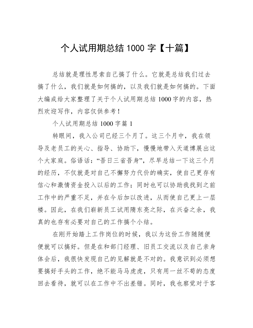 个人试用期总结1000字【十篇】