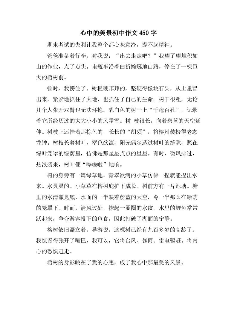 心中的美景初中作文450字