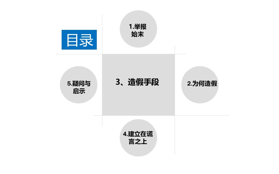 长虹造假门审计案例分析完美版