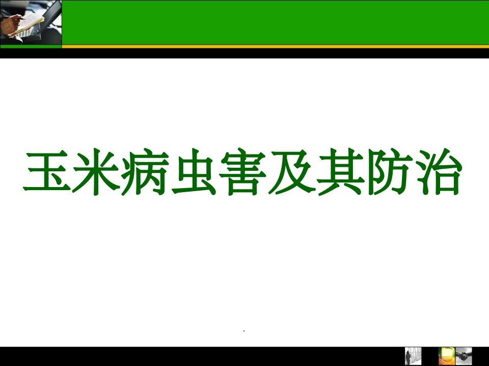 玉米常见病虫害及防治ppt课件