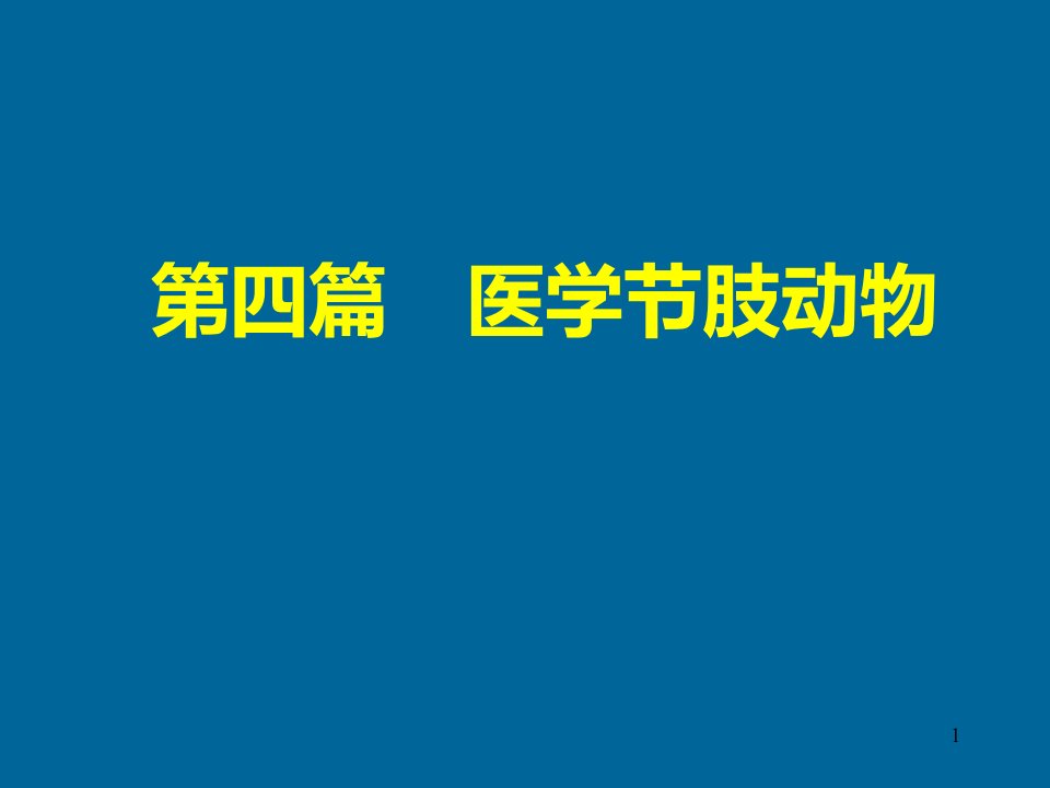 本科医学节肢动物课件