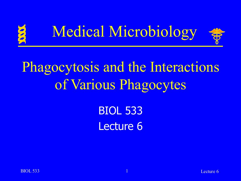 英文版微生物学授课讲义lecture06