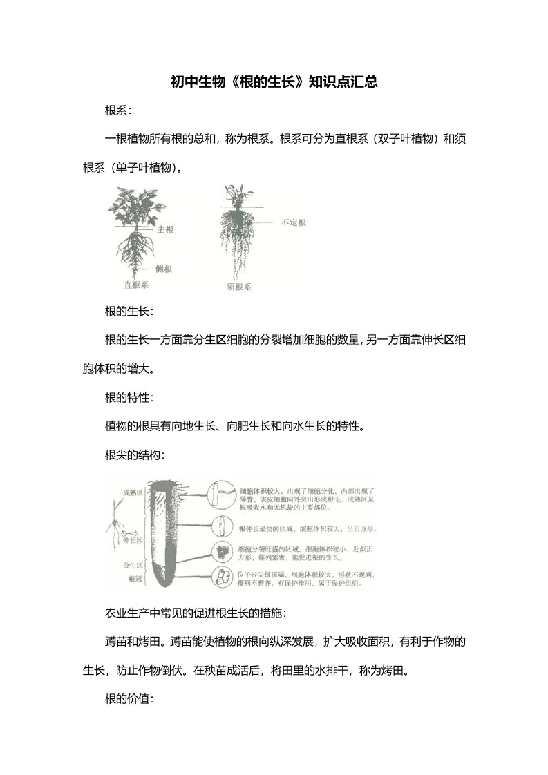 初中生物根的生长知识点汇总