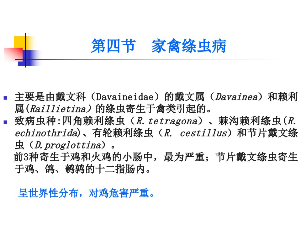 《绦虫病家禽绦虫病》PPT课件