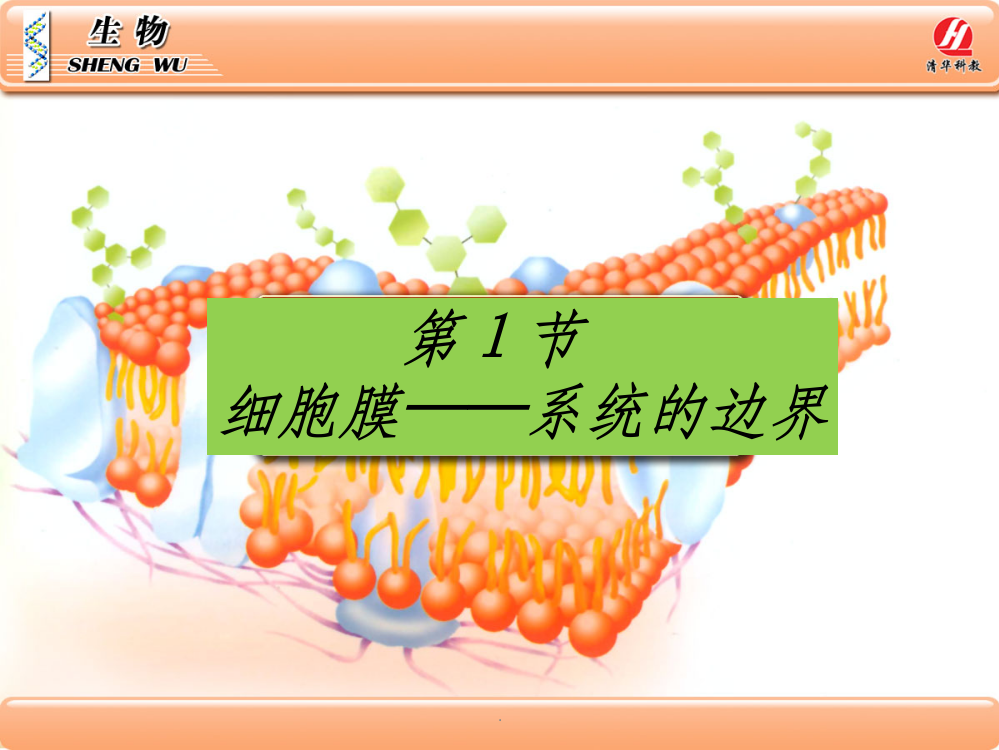 生物学必修3.1细胞膜系统的边界