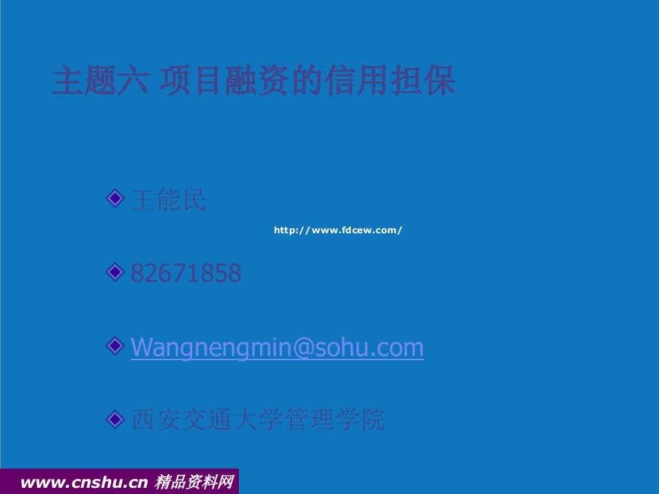 项目管理-项目融资信用担保课件