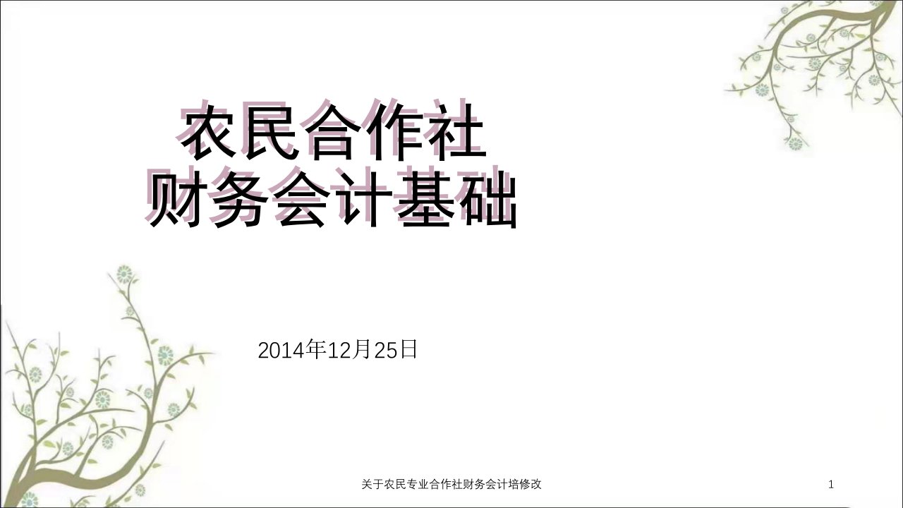 关于农民专业合作社财务会计培修改课件