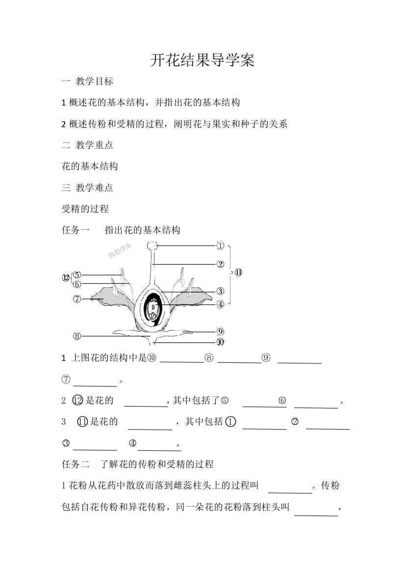 开花结果导学案