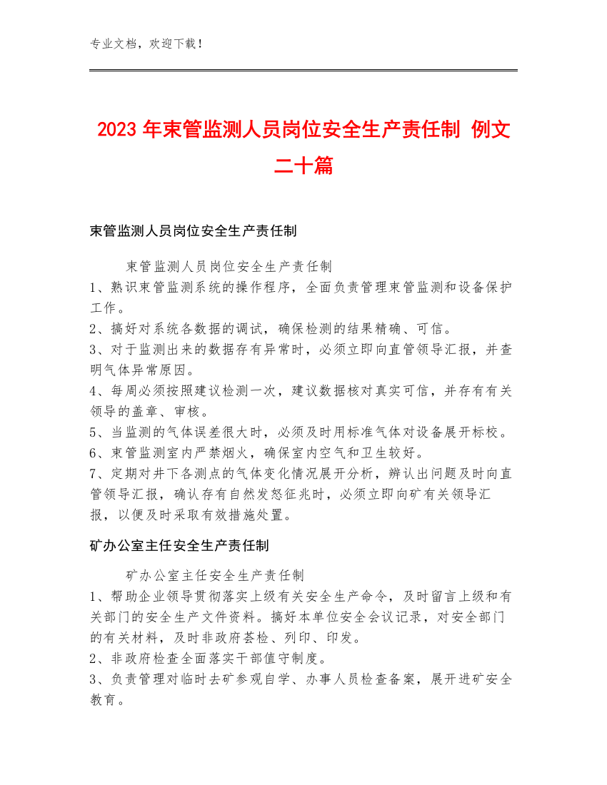 2023年束管监测人员岗位安全生产责任制 例文二十篇