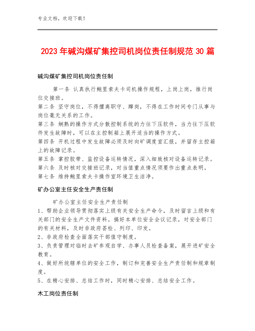 2023年碱沟煤矿集控司机岗位责任制规范30篇