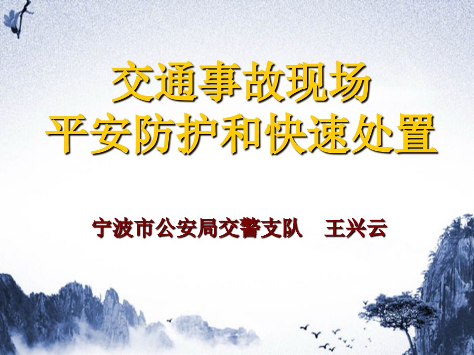 交通事故现场安全防护及快速处置