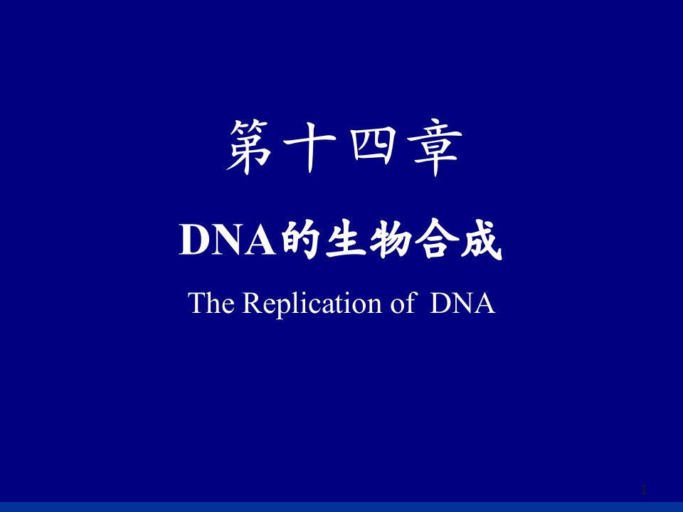 第九章DNA生物合成（最后动画）06级用课件