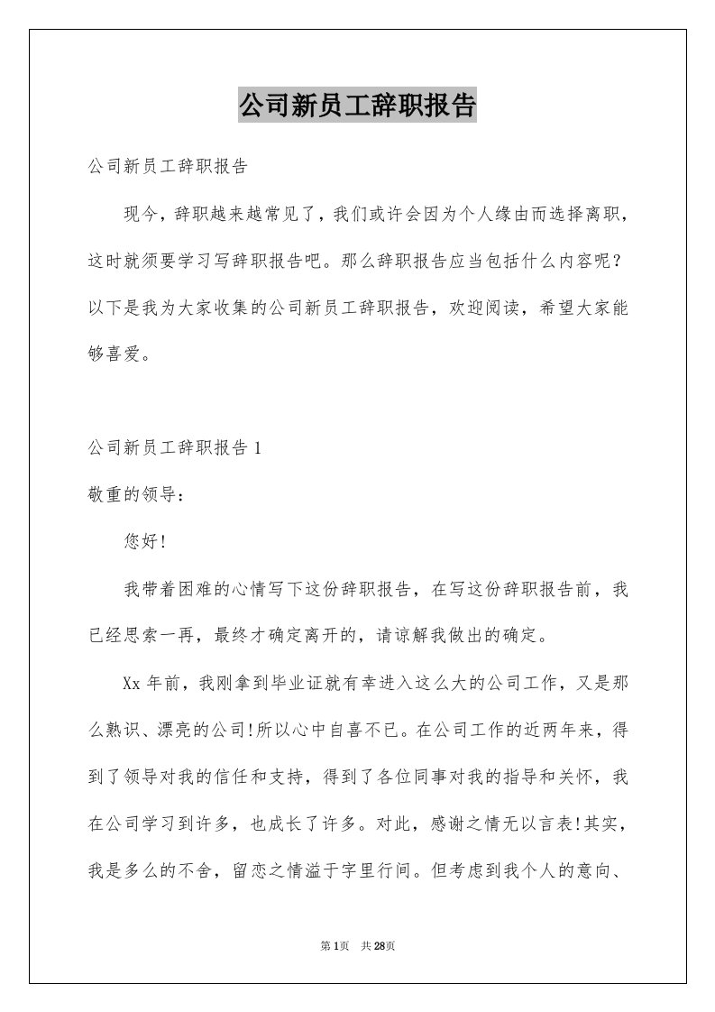 公司新员工辞职报告例文