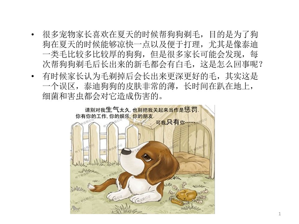 泰迪犬剃毛后长白毛怎么办