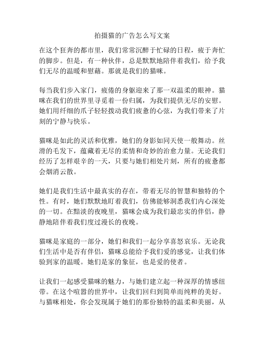 拍摄猫的广告怎么写文案