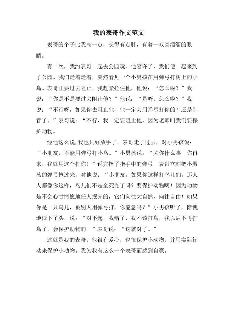 我的表哥作文范文