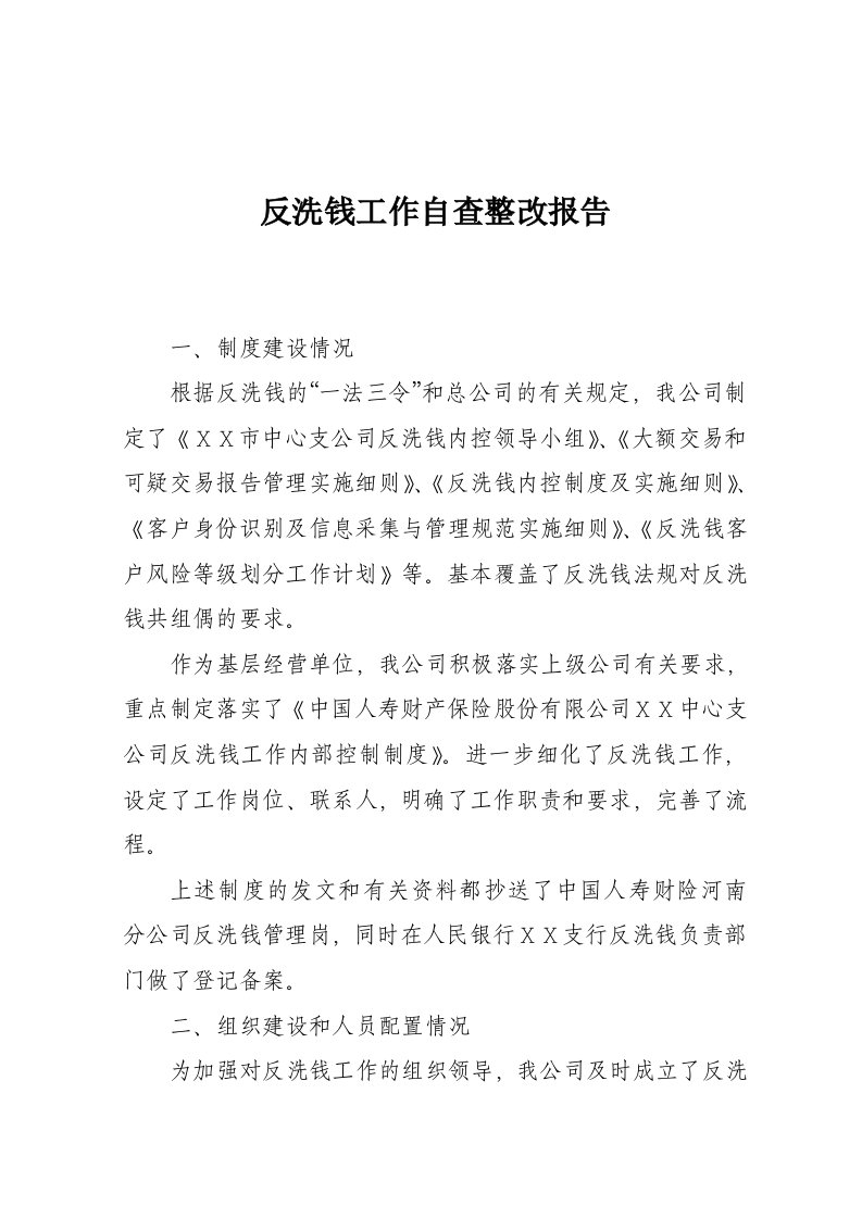 保险公司反洗钱工作自查整改报告