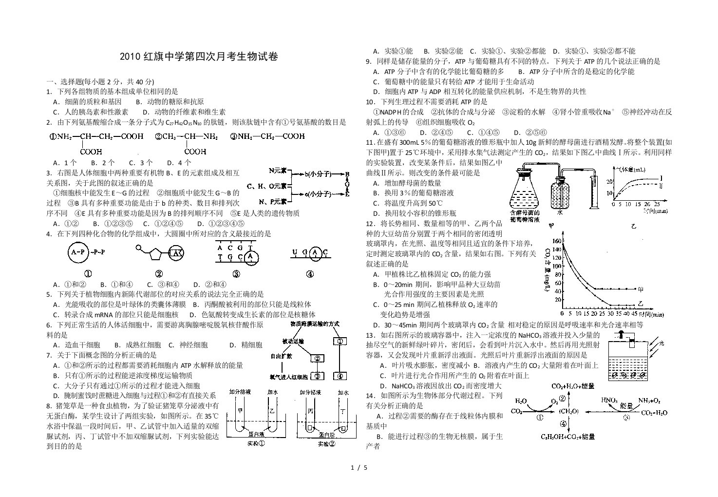 红旗中学第四次月考生物试卷