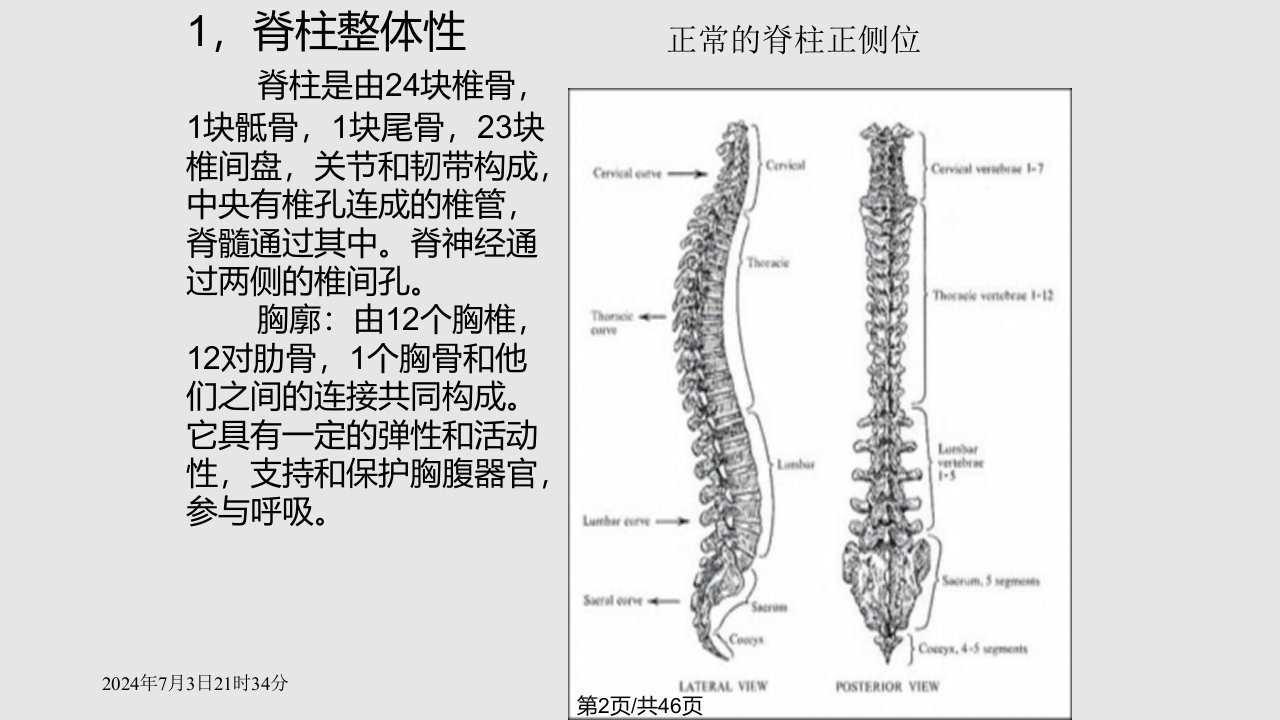 脊柱侧弯的矫形器治疗