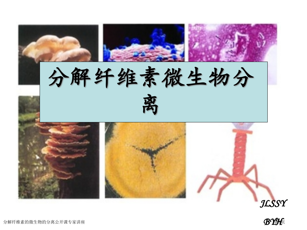 分解纤维素的微生物的分离公开课专家讲座