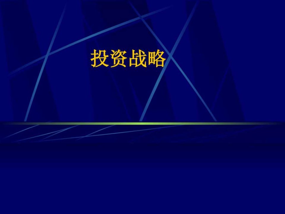 投资战略管理.ppt